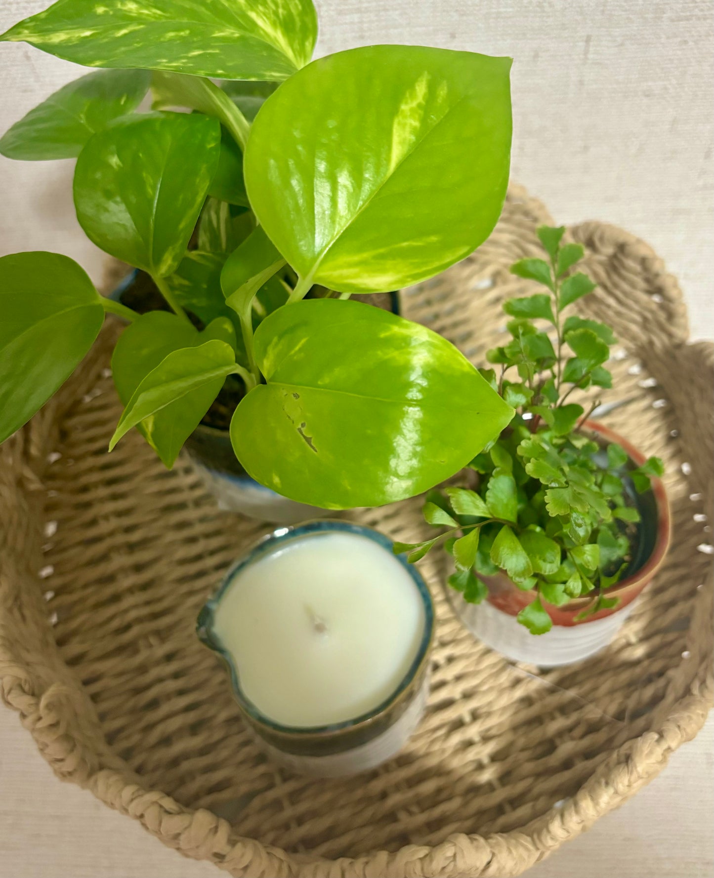 Sustainable ceramic plant pot candle