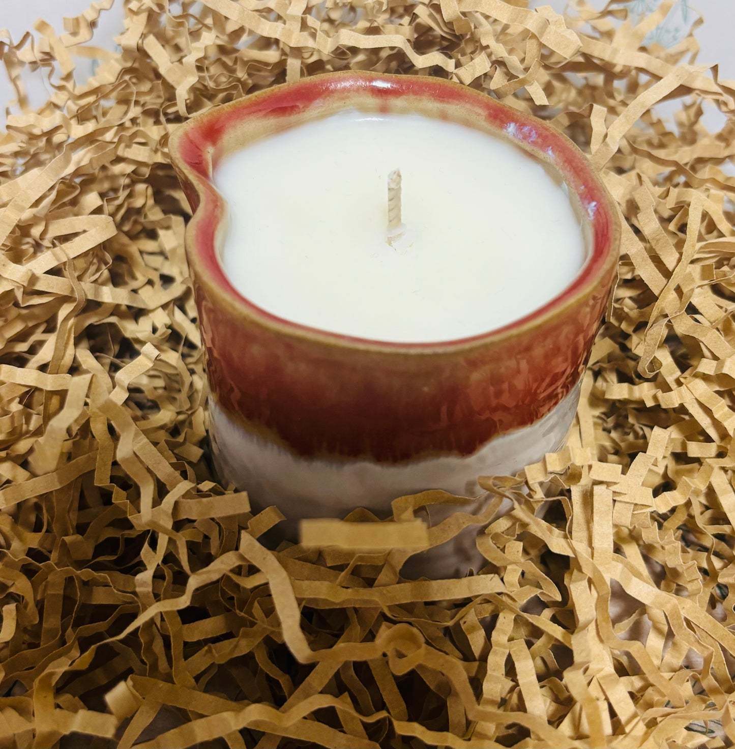 Sustainable ceramic plant pot candle