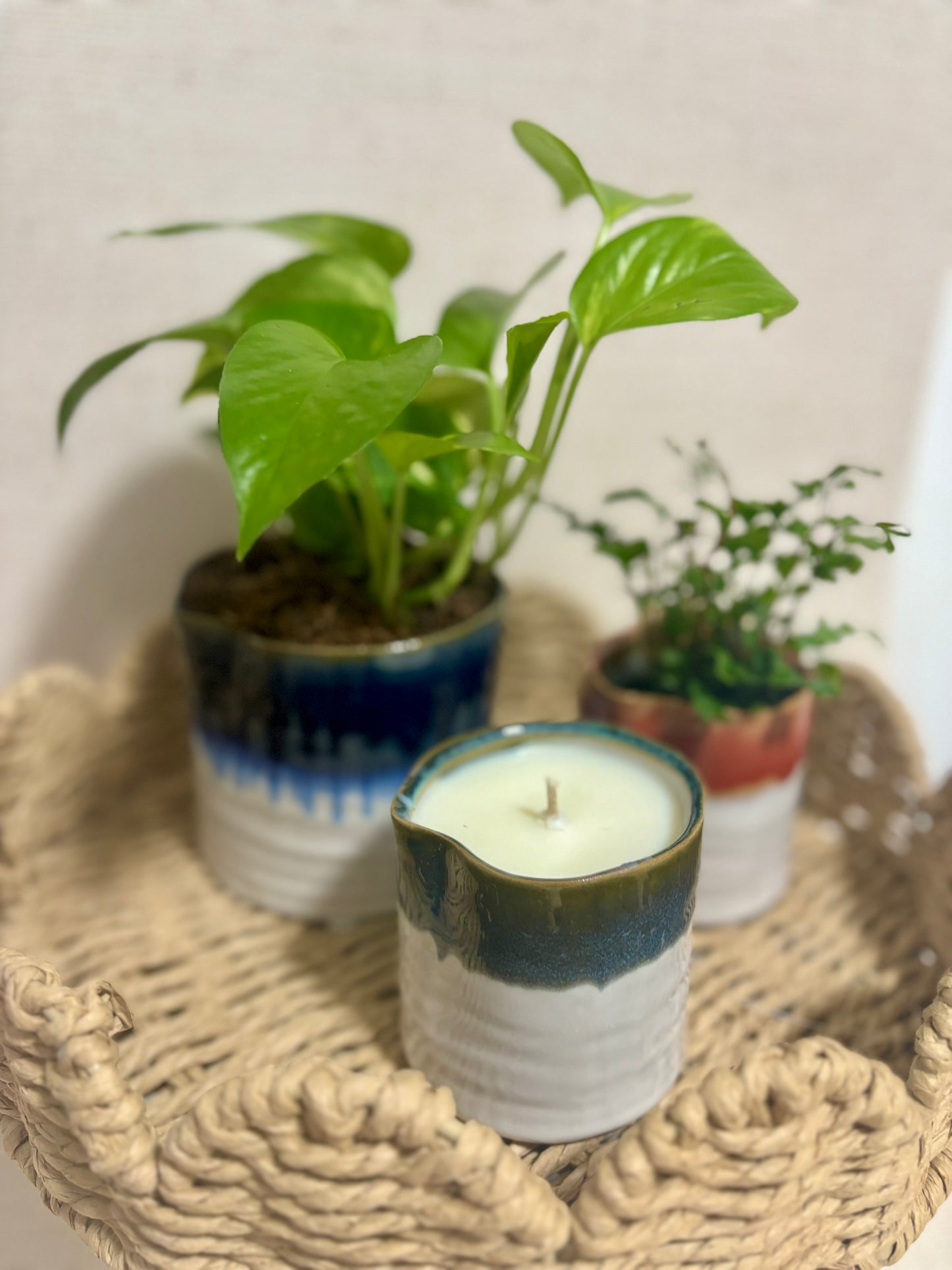 Sustainable ceramic plant pot candle