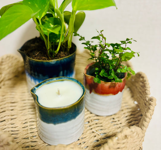 Sustainable ceramic plant pot candle