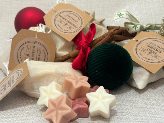 Christmas star wax melts